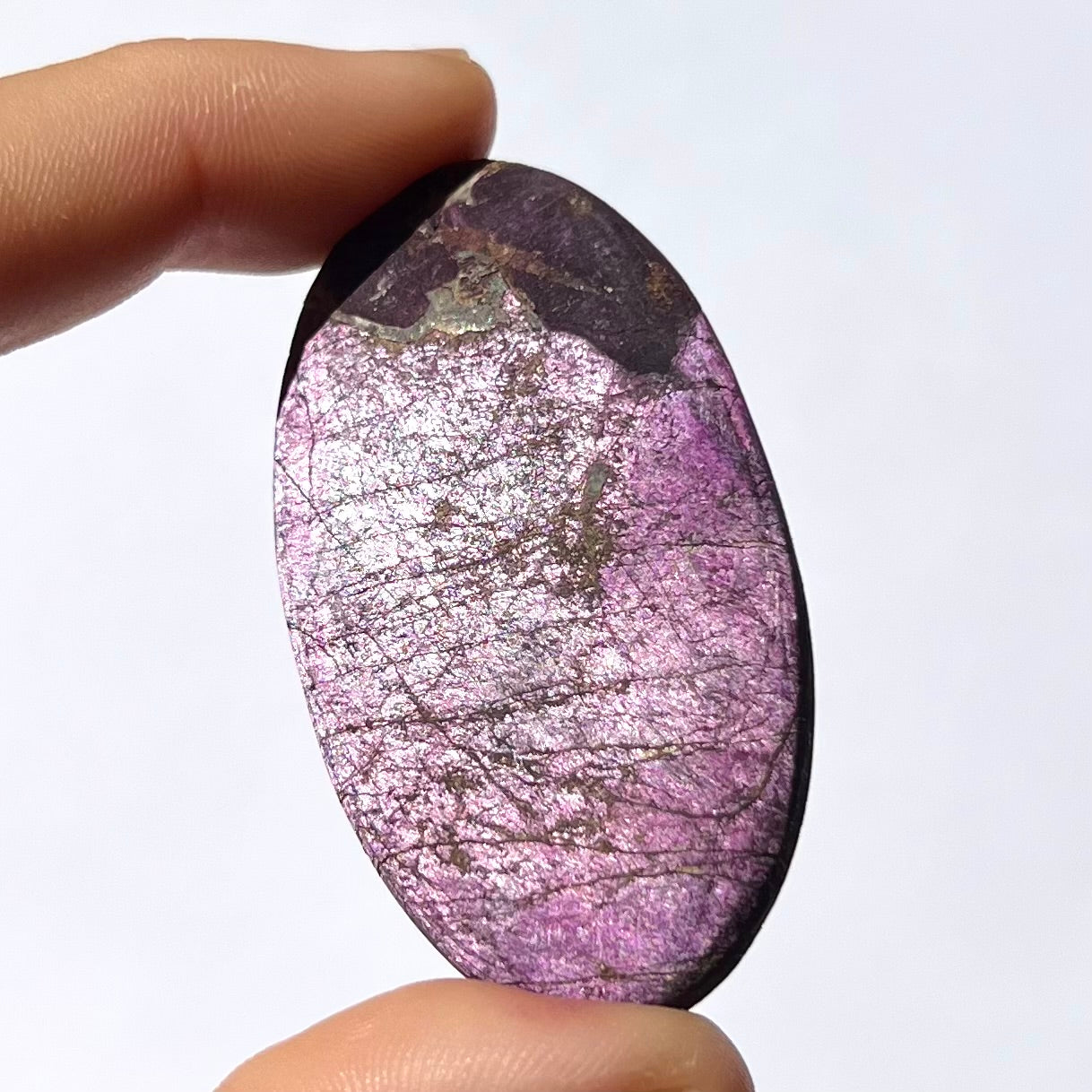 Galet Purpurite 4