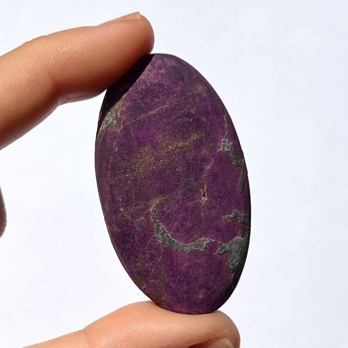 Galet Purpurite 2