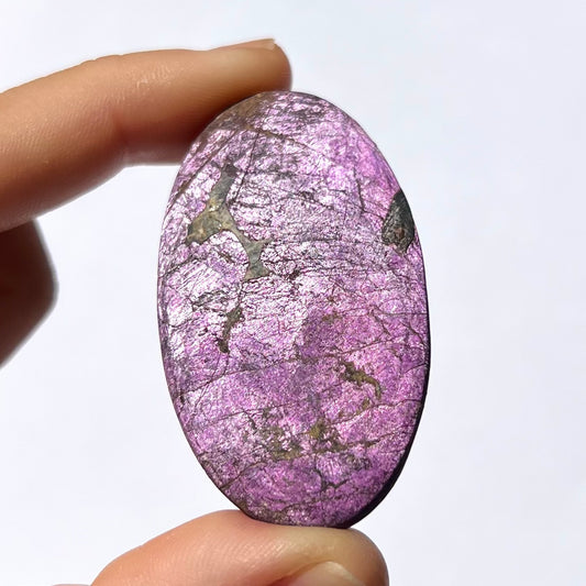 Galet Purpurite 4