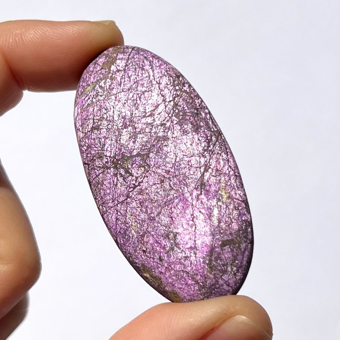 Galet Purpurite 1
