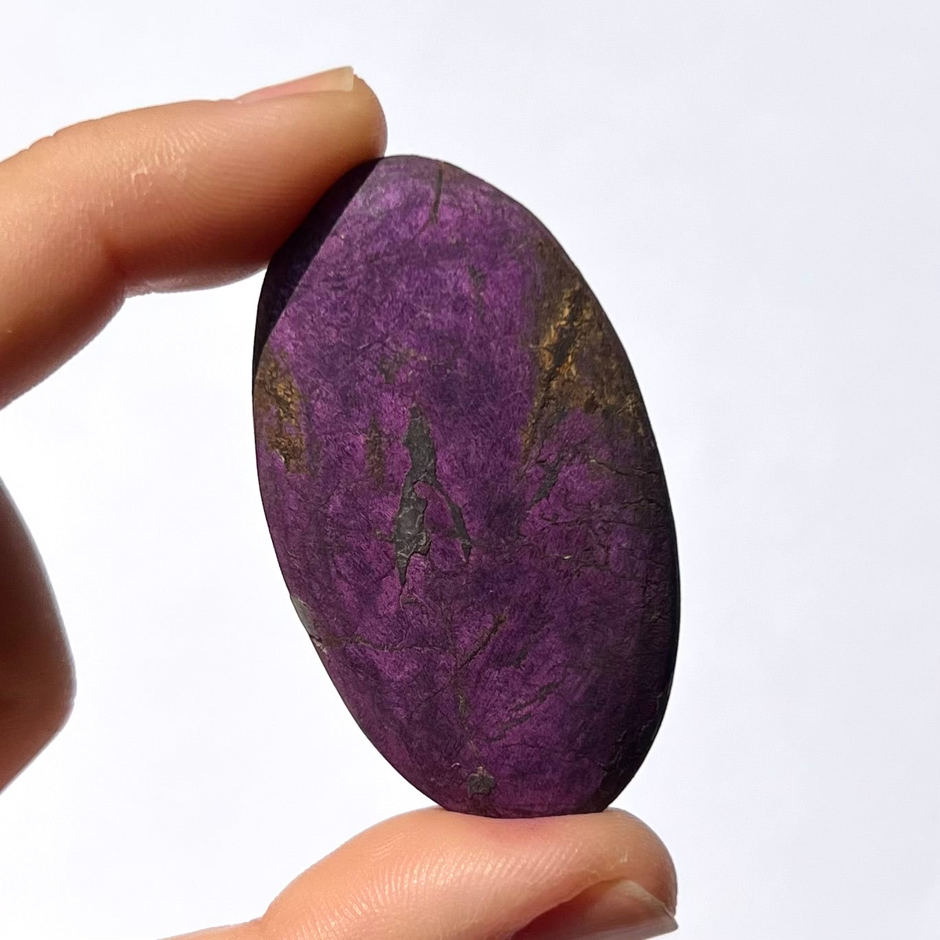 Galet Purpurite 3