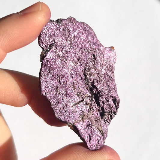 Purpurite brute 11