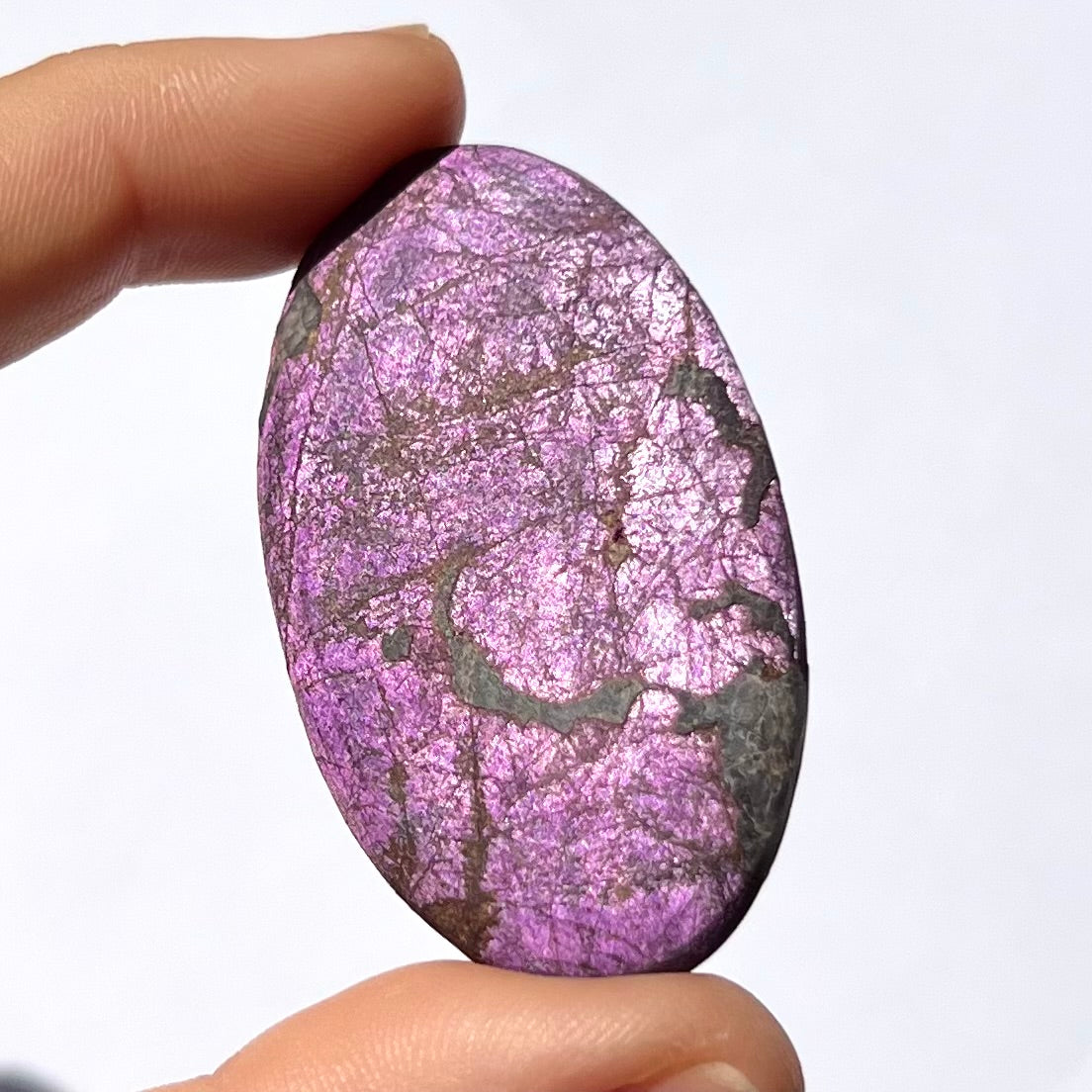 Galet Purpurite 2