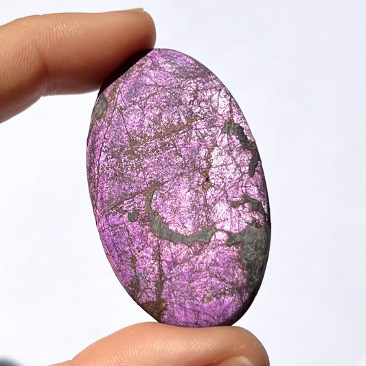 Galet Purpurite 2
