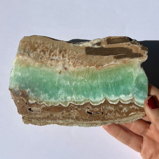 Tranche de Calcite des Caraïbes 2