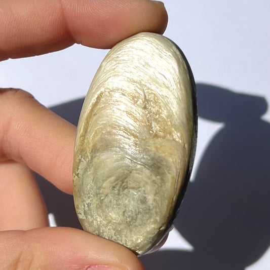 Galet Muscovite et Albite 1