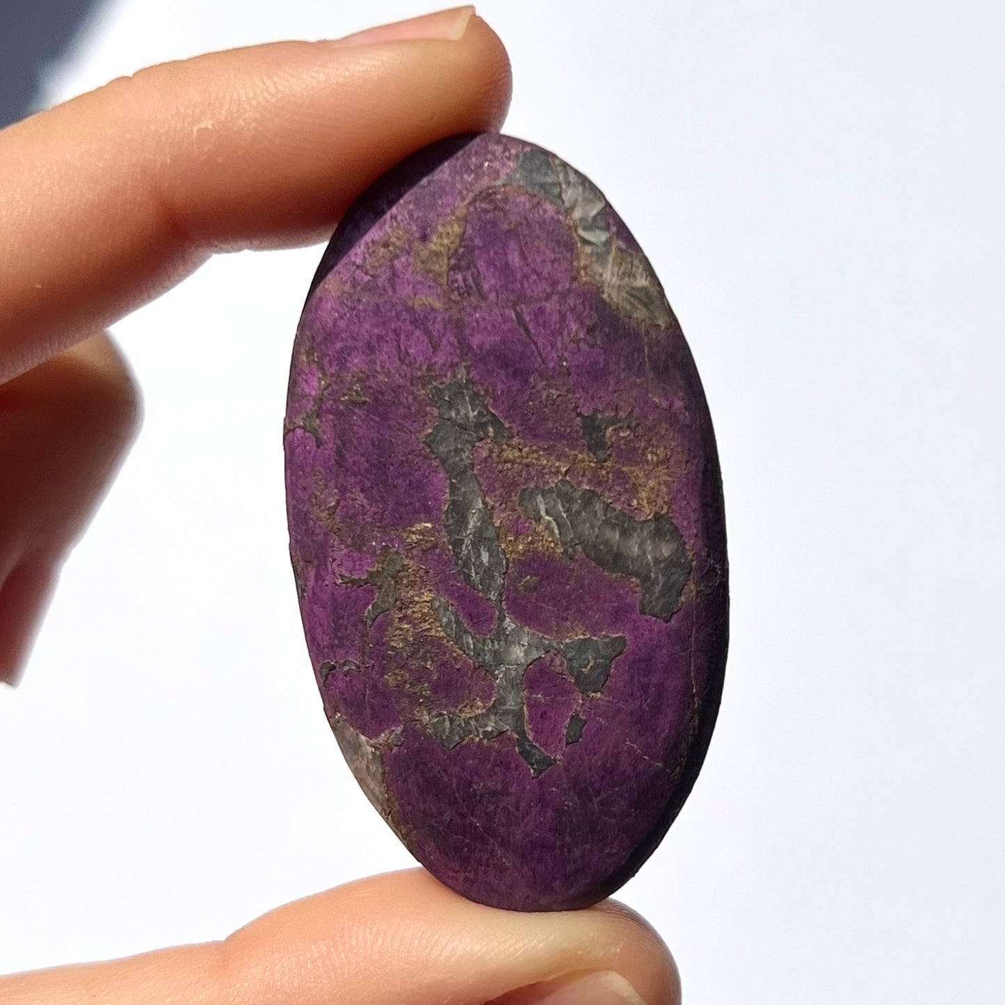 Galet Purpurite 2