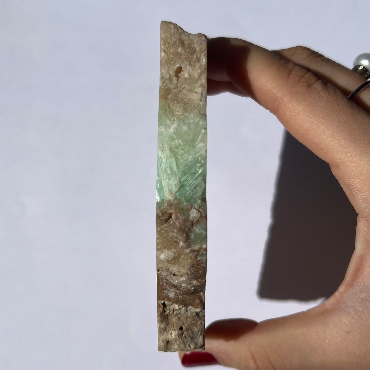 Tranche de Calcite des Caraïbes 4