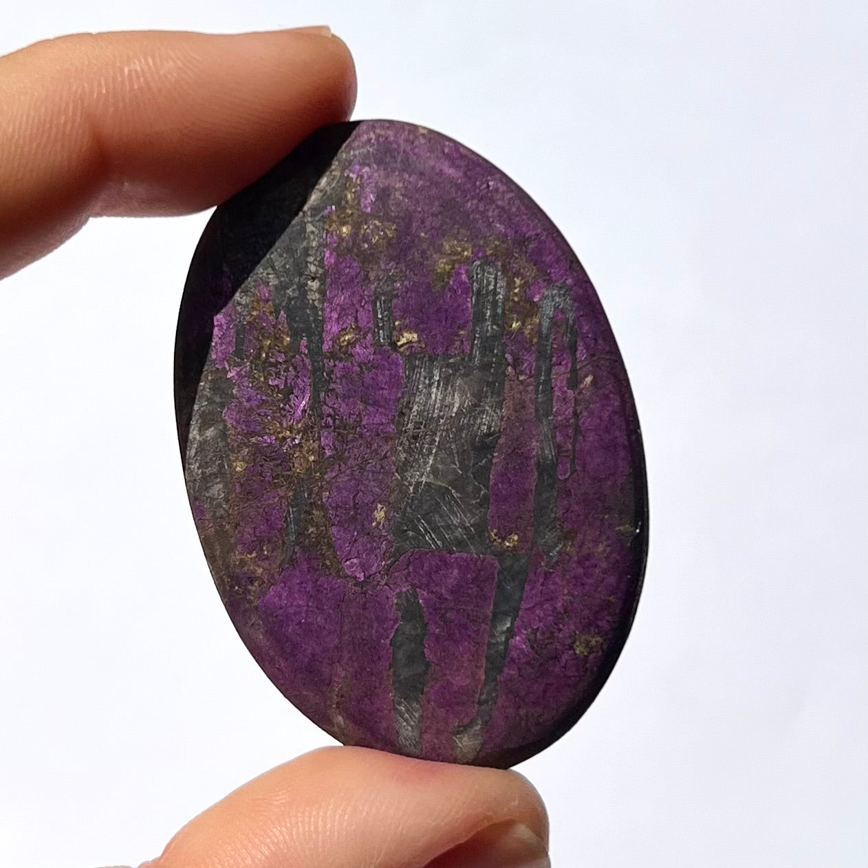 Galet Purpurite 5