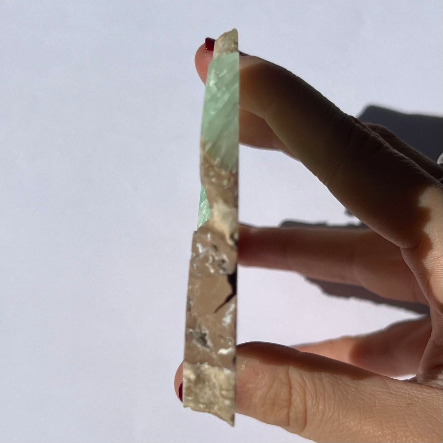 Tranche de Calcite des Caraïbes 3