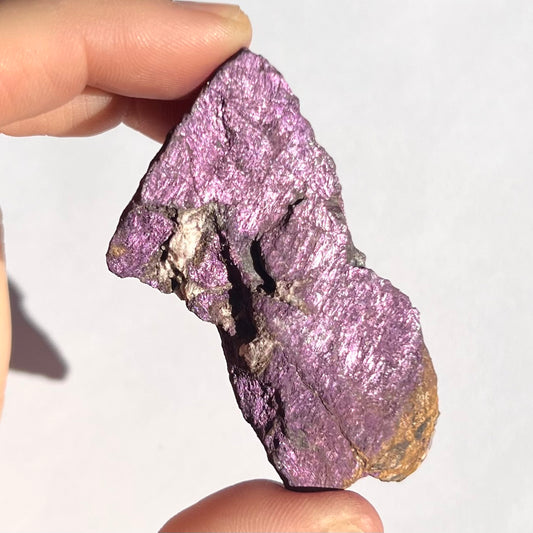 Purpurite brute 7