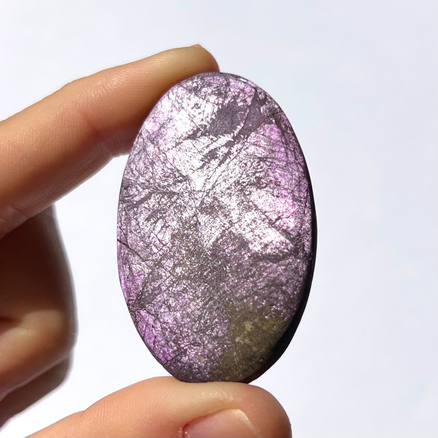 Galet Purpurite 8