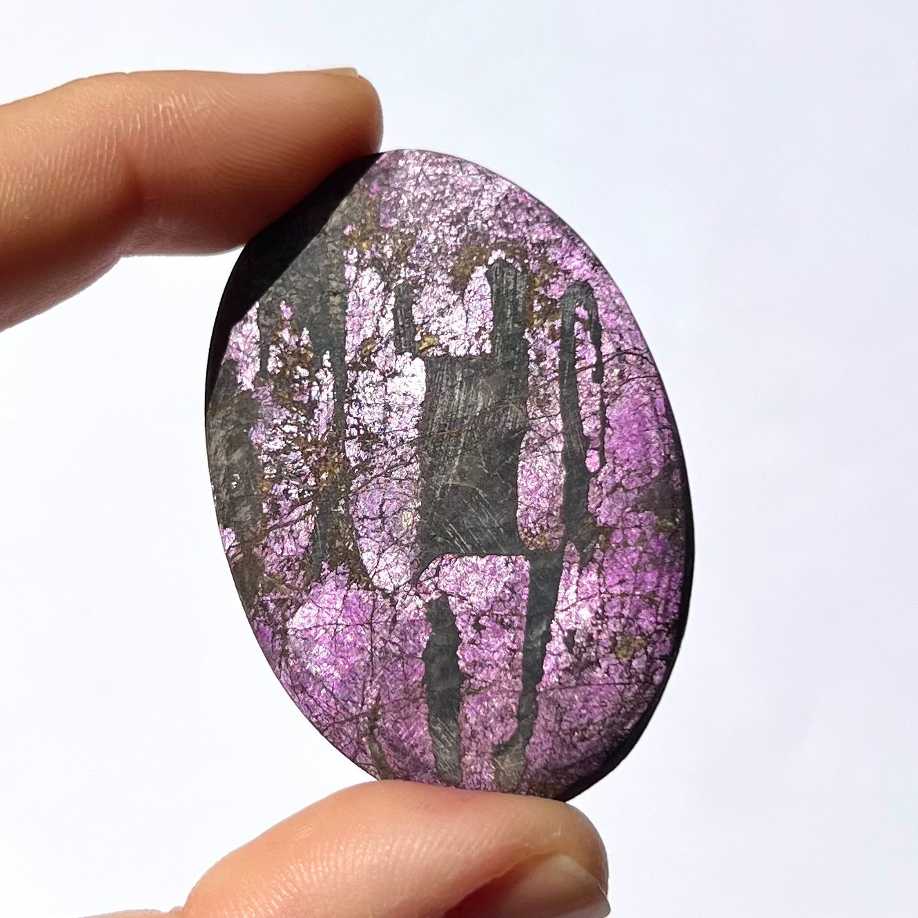 Galet Purpurite 5