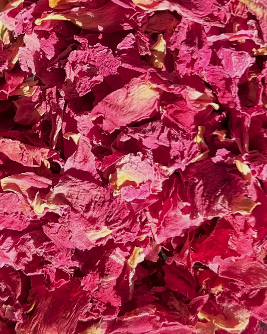 Pot de Pivoine / Fleurs séchées
