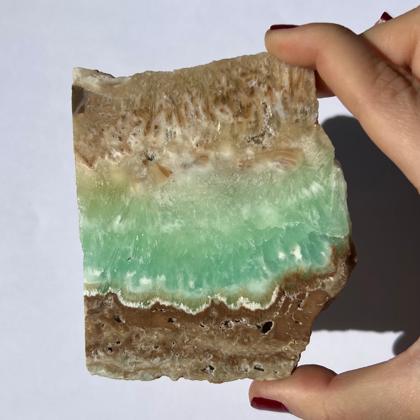Tranche de Calcite des Caraïbes 4