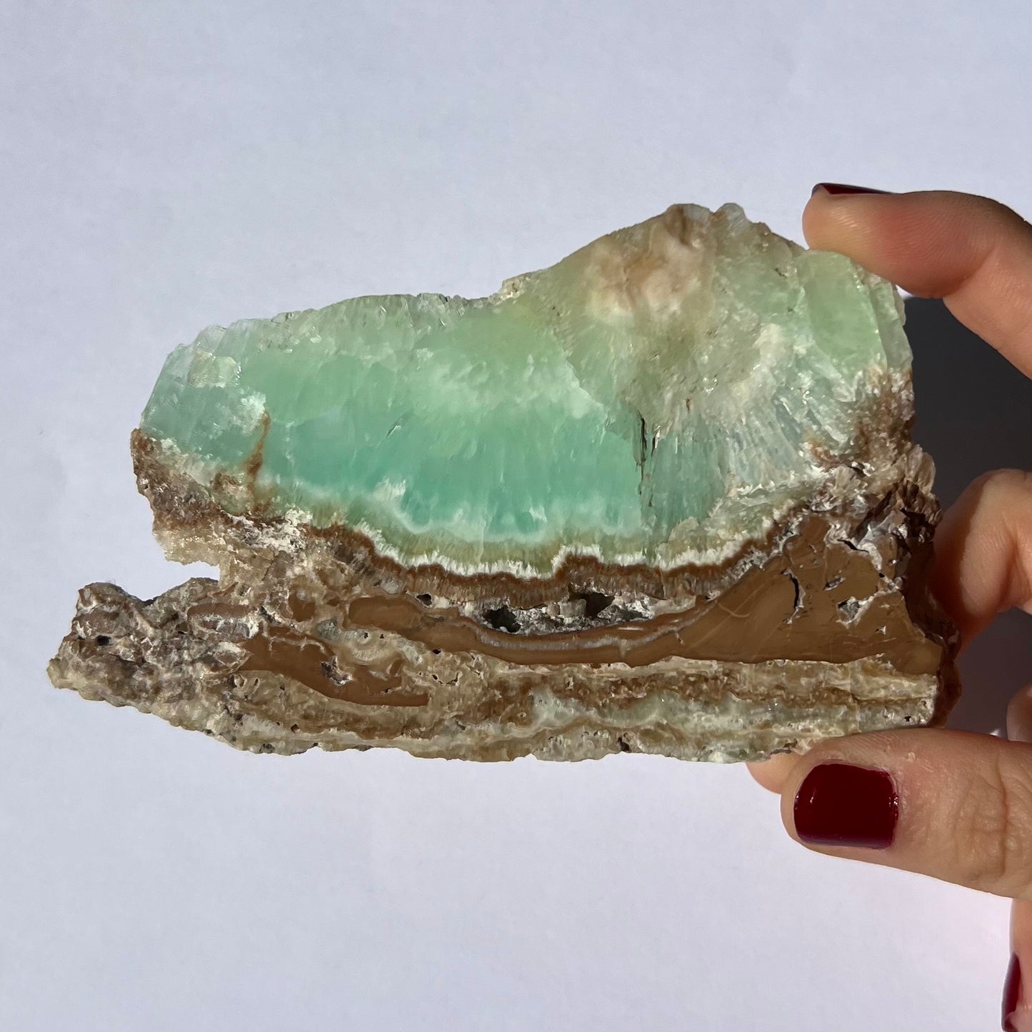 Tranche de Calcite des Caraïbes 3